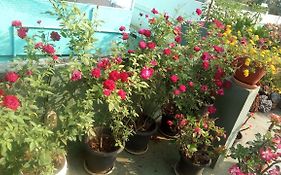Heavenly Homestay